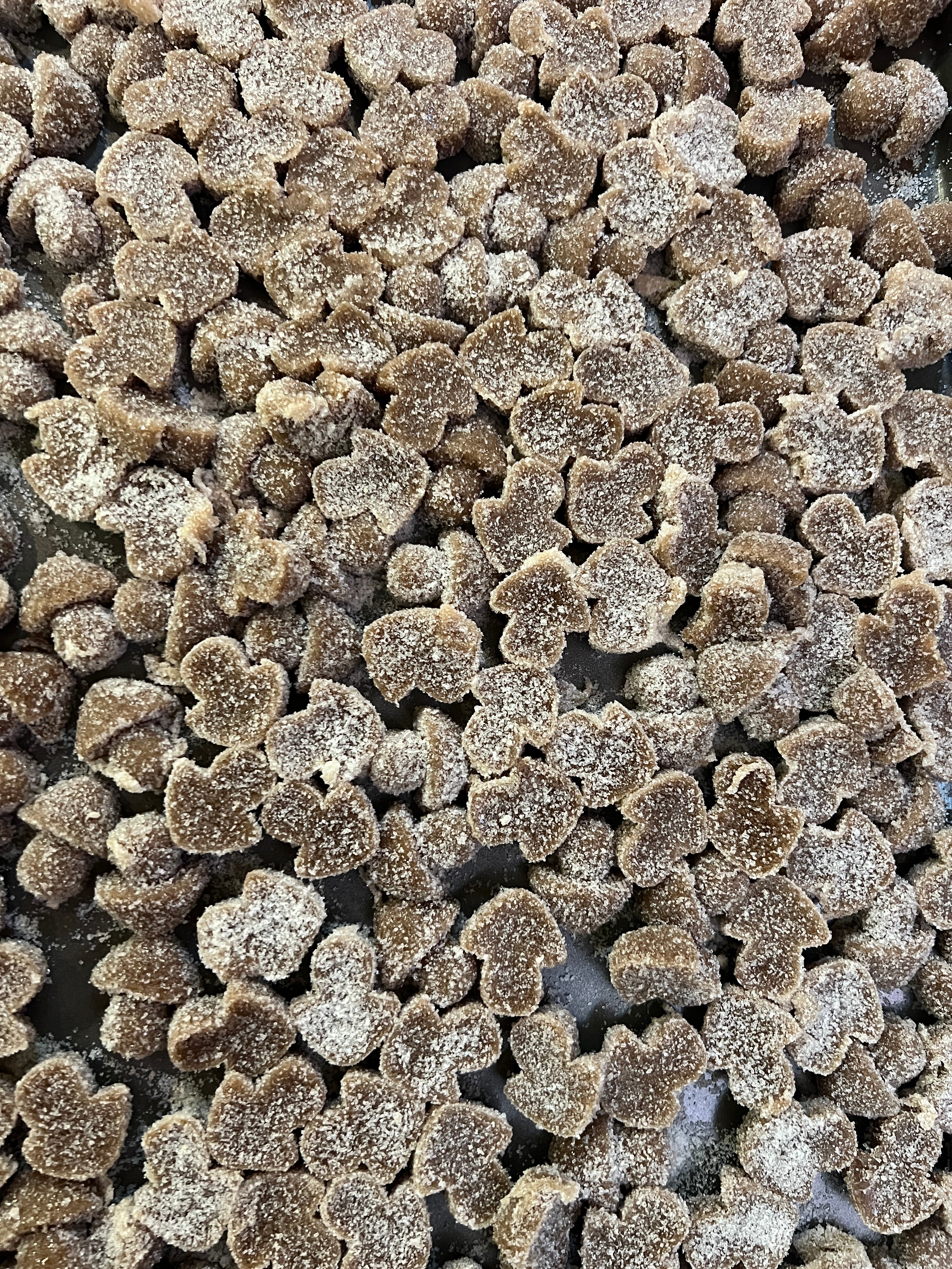 Mind Focus Gummy - High PotencY Lion's Mane Extract for the Brain