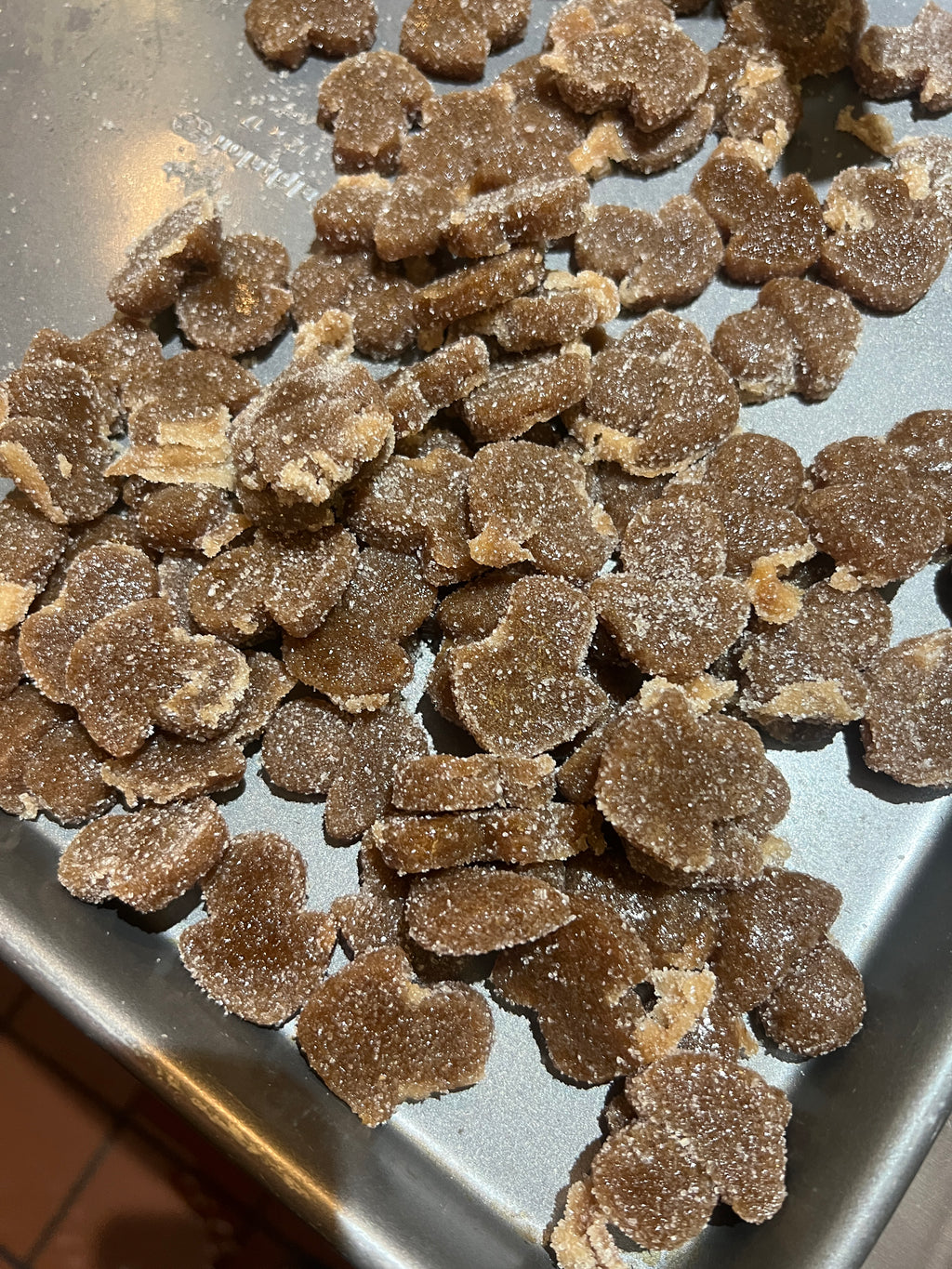 Mango Sugar-Free - Mind Focus Gummy - High PotencY Lion's Mane Extract for the Brain