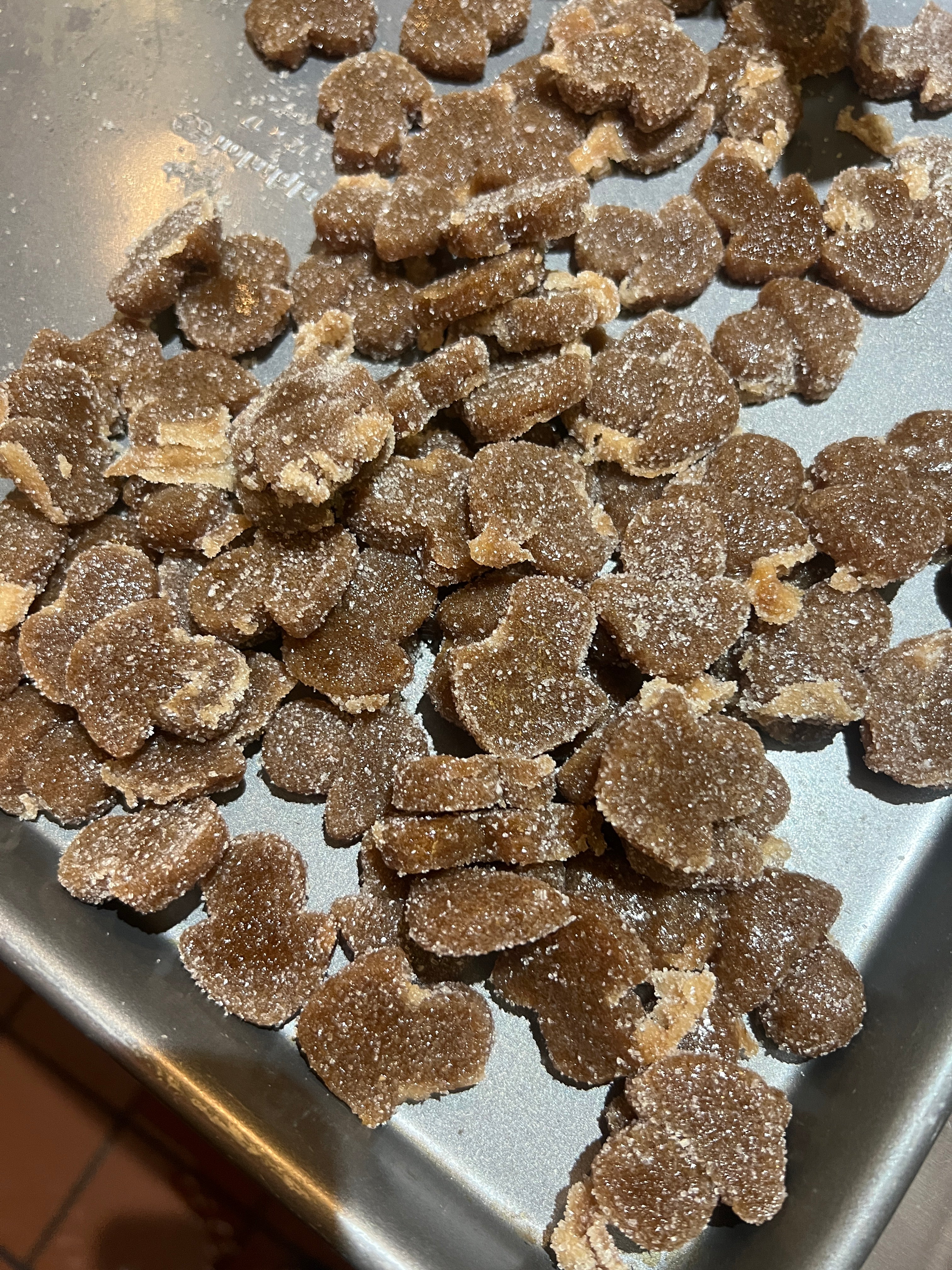 Mango Sugar-Free - Mind Focus Gummy - High PotencY Lion's Mane Extract for the Brain