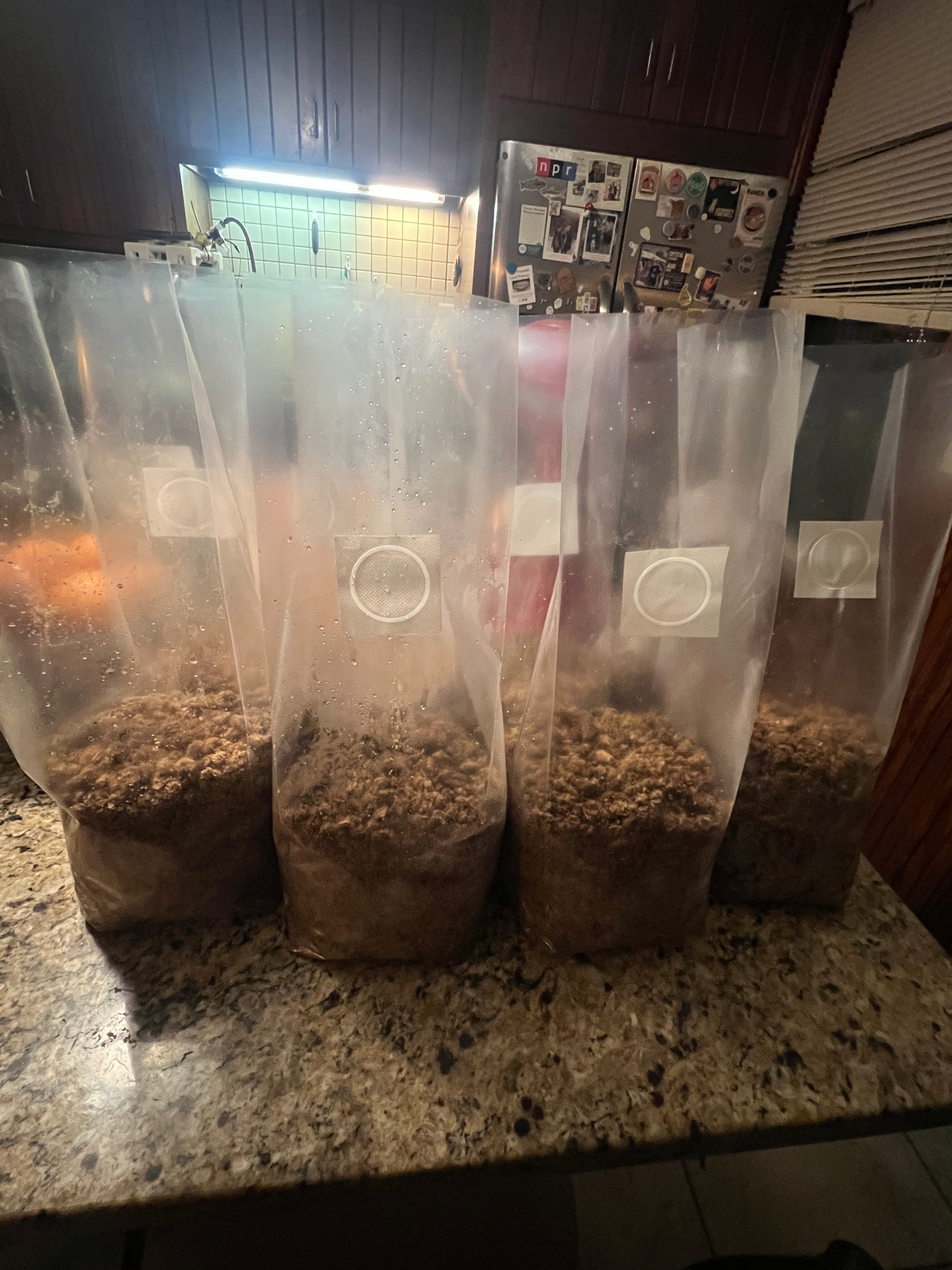 Supplemented wood substrate pellet, makes 8 bags. 12 lbs Farmers wood mix with 8 bags 0.5um filter tech bags (free shipping).